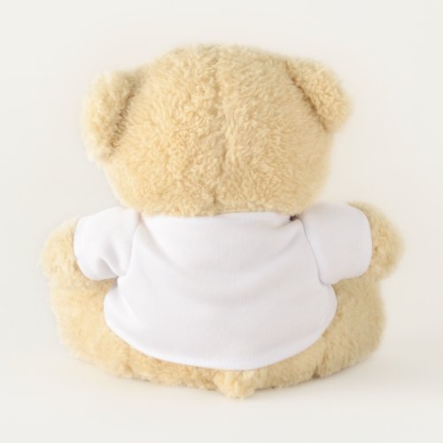Teddy Bear Small Teddy Bear