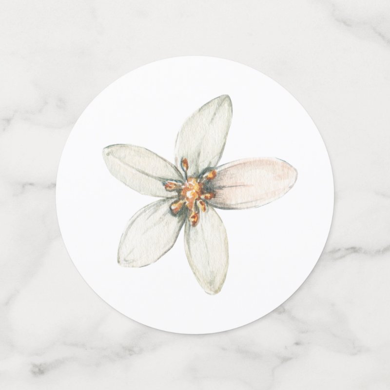 Citrus, orange blossom bridal shower party decor confetti Table Confetti 7 Citrus, orange blossom bridal shower party decor confetti Table Confetti